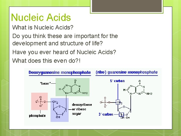 Nucleic Acids What is Nucleic Acids? Do you think these are important for the