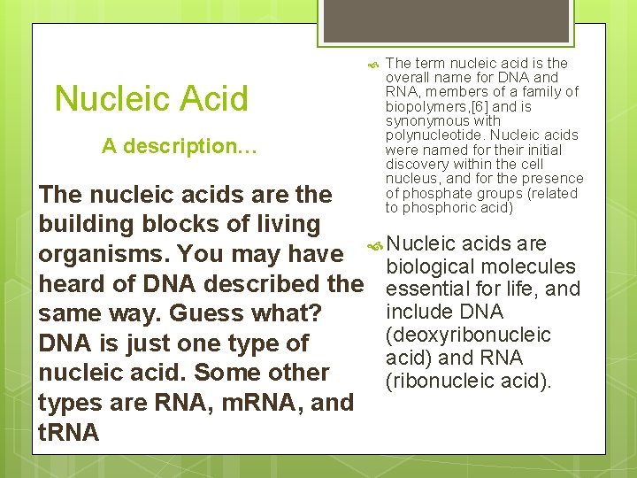  Nucleic Acid A description… The term nucleic acid is the overall name for