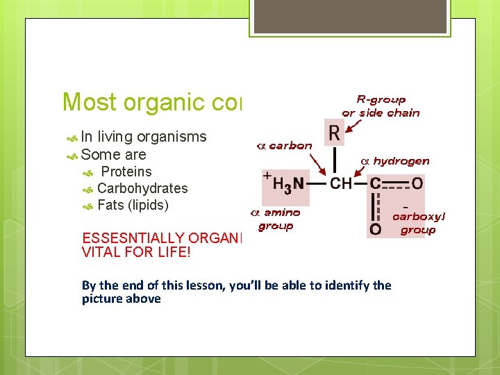 Most organic compounds are… In living organisms Some are Proteins Carbohydrates Fats (lipids) ESSESNTIALLY