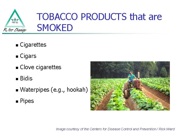 TOBACCO PRODUCTS that are SMOKED n Cigarettes n Cigars n Clove cigarettes n Bidis