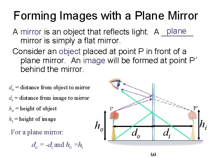 Forming Images with a Plane Mirror plane A mirror is an object that reflects