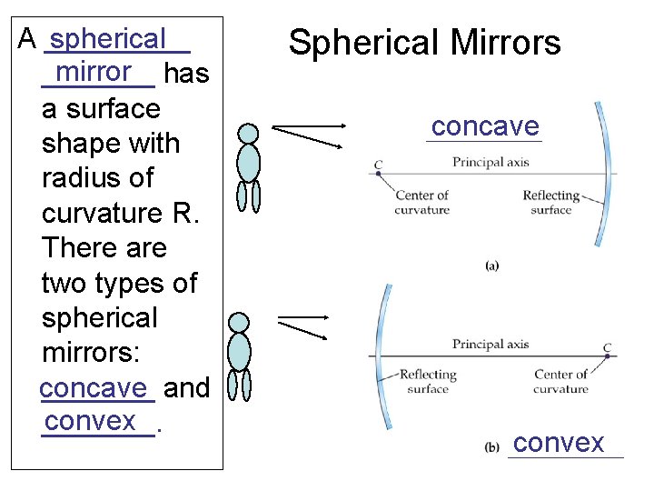 spherical A _____ mirror has _______ a surface shape with radius of curvature R.