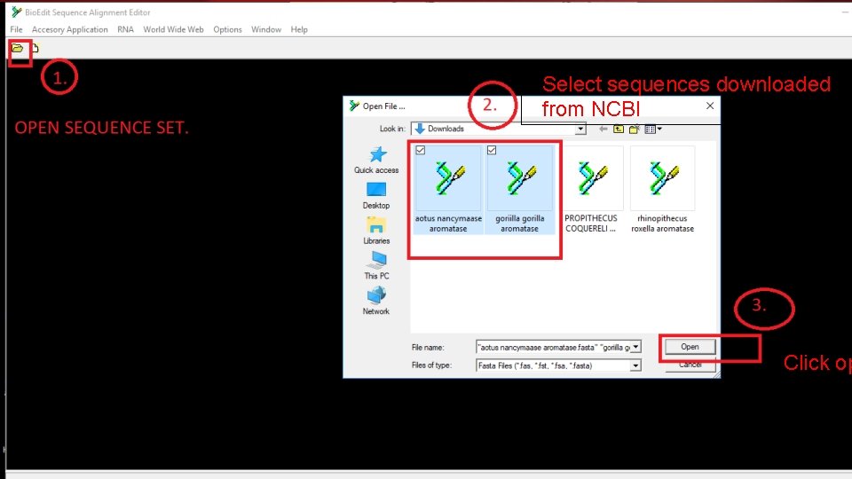 Select sequences downloaded from NCBI Click op 