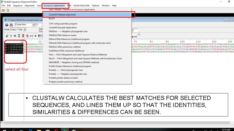  • CLUSTALW CALCULATES THE BEST MATCHES FOR SELECTED SEQUENCES, AND LINES THEM UP
