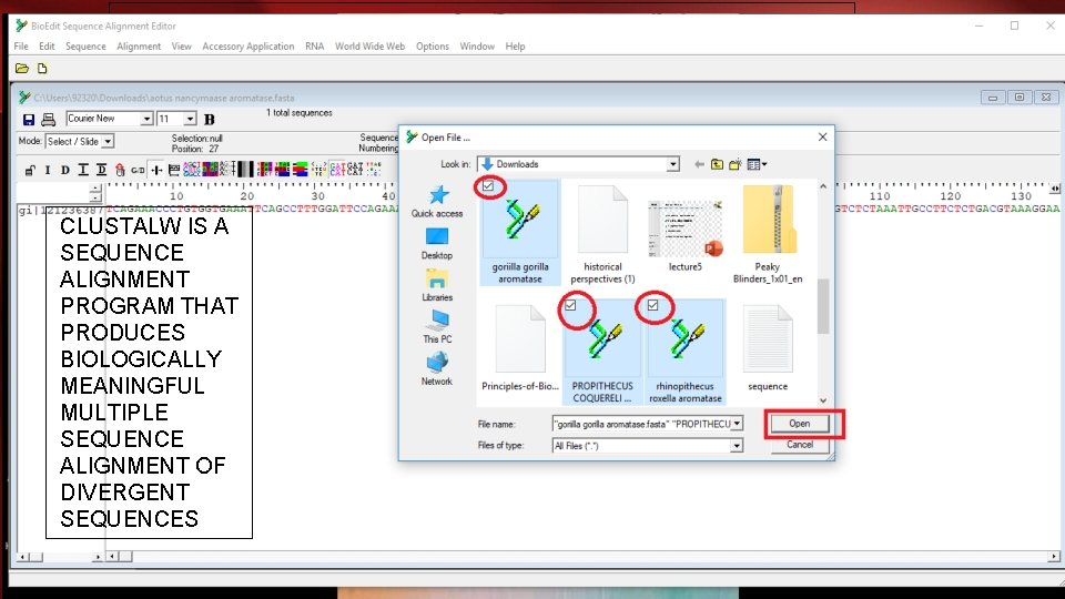 TO PERFORM CLUSTALW • CLUSTALW IS A SEQUENCE ALIGNMENT PROGRAM THAT NIFEWIFK PRODUCES BIOLOGICALLY