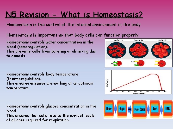 N 5 Revision - What is Homeostasis? Homeostasis is the control of the internal