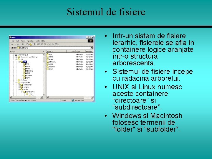 Sistemul de fisiere • Intr-un sistem de fisiere ierarhic, fisierele se afla in containere