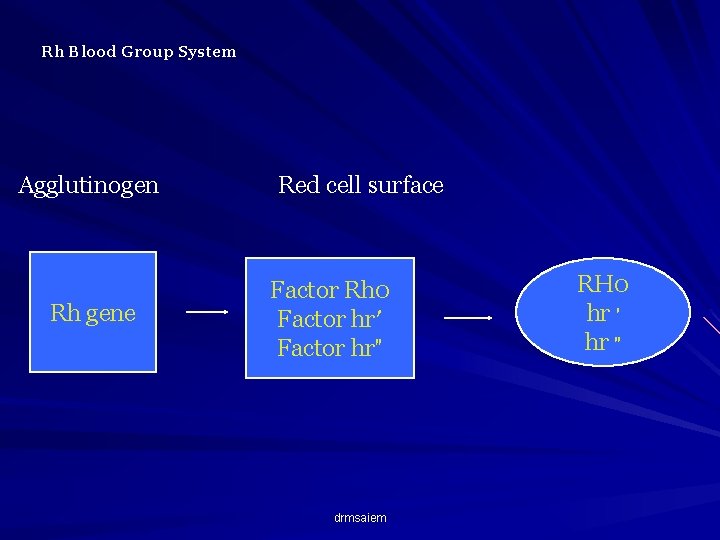 Rh Blood Group System Agglutinogen Rh gene Red cell surface Factor Rh 0 Factor