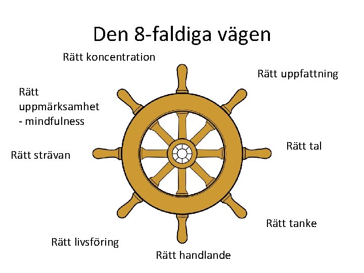 Den 8 -faldiga vägen Rätt koncentration Rätt uppfattning Rätt uppmärksamhet - mindfulness Rätt tal