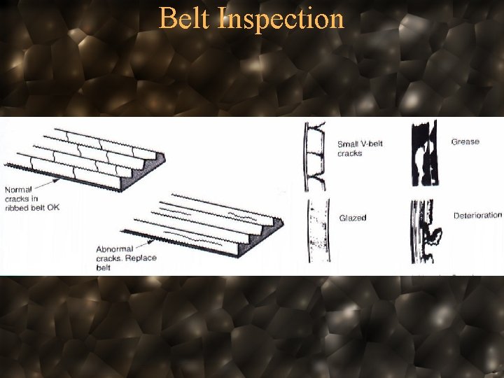 Belt Inspection 