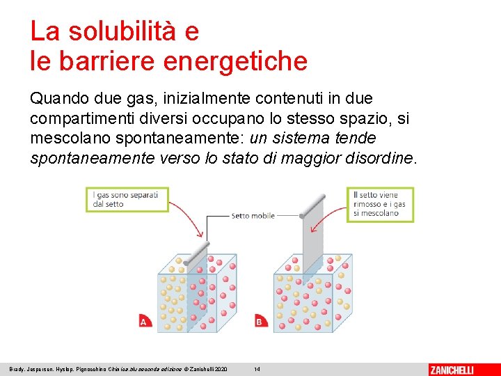 La solubilità e le barriere energetiche Quando due gas, inizialmente contenuti in due compartimenti