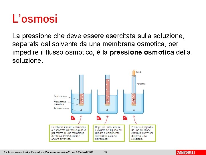 L’osmosi La pressione che deve essere esercitata sulla soluzione, separata dal solvente da una