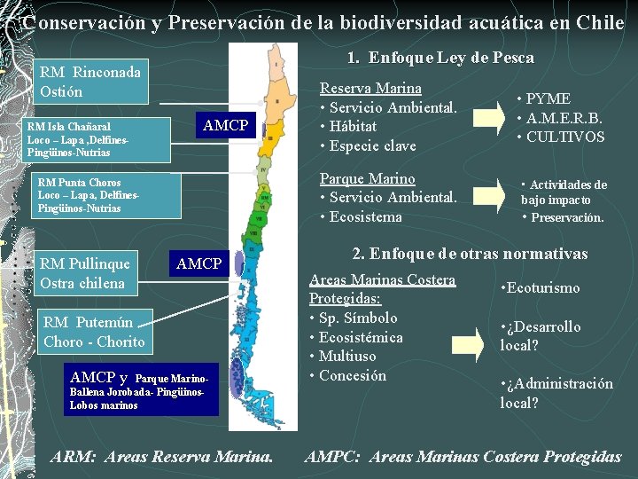 Conservación y Preservación de la biodiversidad acuática en Chile 1. Enfoque Ley de Pesca