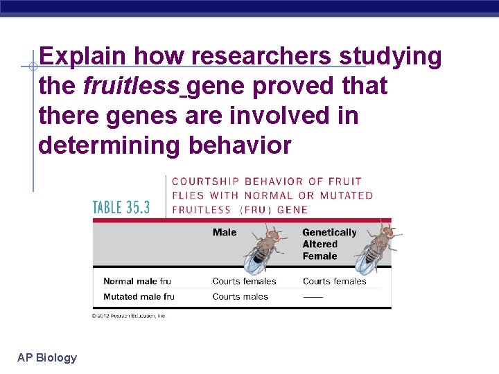 Explain how researchers studying the fruitless gene proved that there genes are involved in