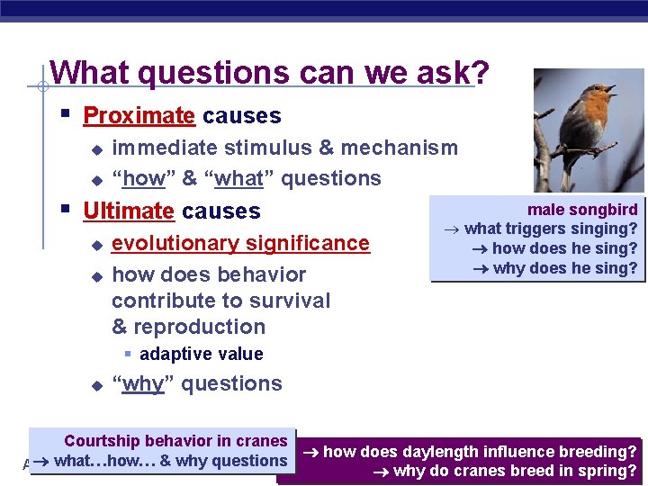 What questions can we ask? § Proximate causes u u immediate stimulus & mechanism