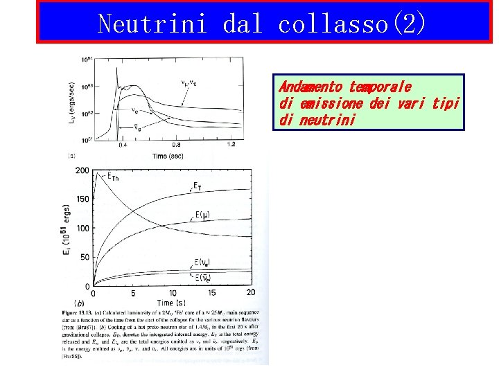 Neutrini dal collasso(2) Andamento temporale di emissione dei vari tipi di neutrini 