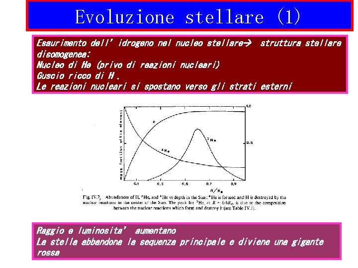 Evoluzione stellare (1) Esaurimento dell’idrogeno nel nucleo stellare struttura stellare disomogenea: Nucleo di He