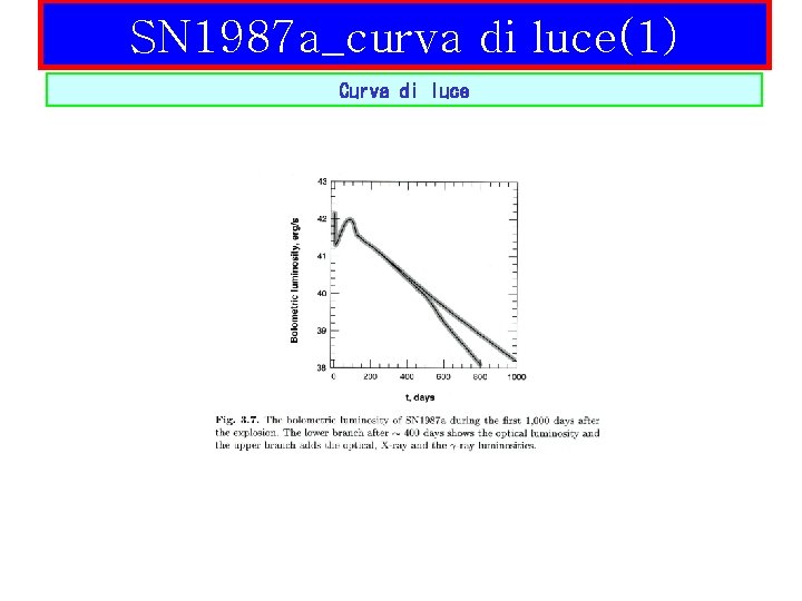 SN 1987 a_curva di luce(1) Curva di luce 