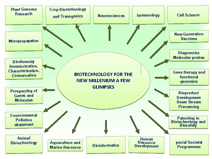 Plant Genome Research Crop Biotechnology and Transgenics Neurosciences Immunology New Generation Vaccines Micropropagation Biodiversity