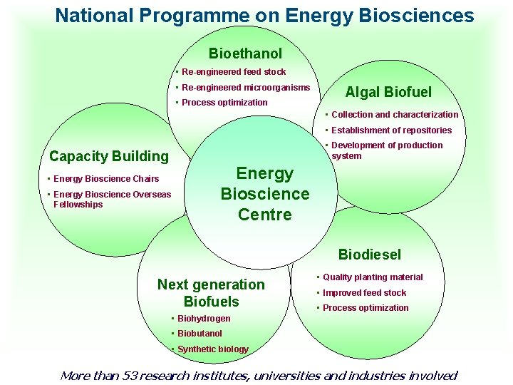 National Programme on Energy Biosciences Bioethanol • Re-engineered feed stock • Re-engineered microorganisms •