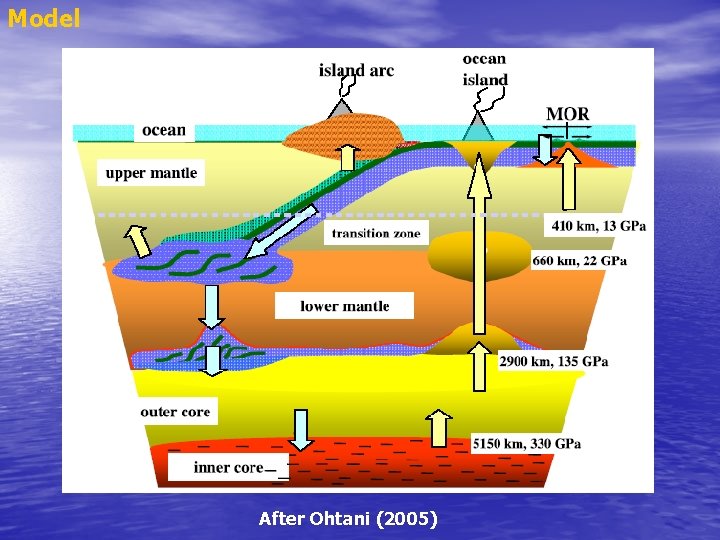 Model After Ohtani (2005) 