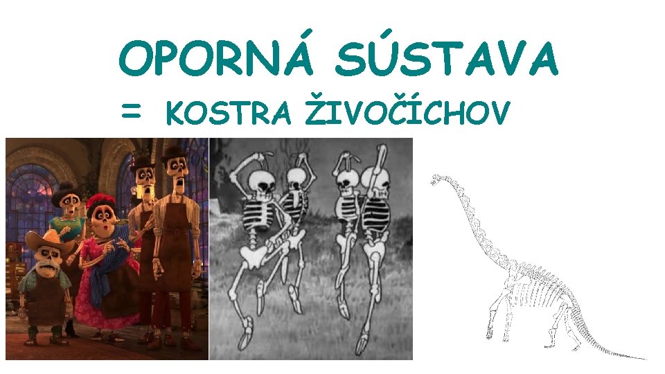 OPORNÁ SÚSTAVA = KOSTRA ŽIVOČÍCHOV 