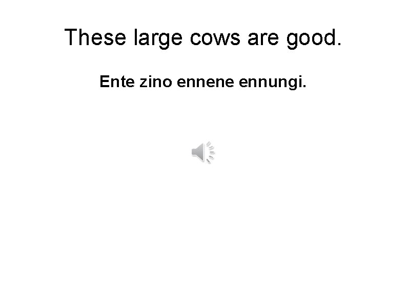 These large cows are good. Ente zino ennene ennungi. 
