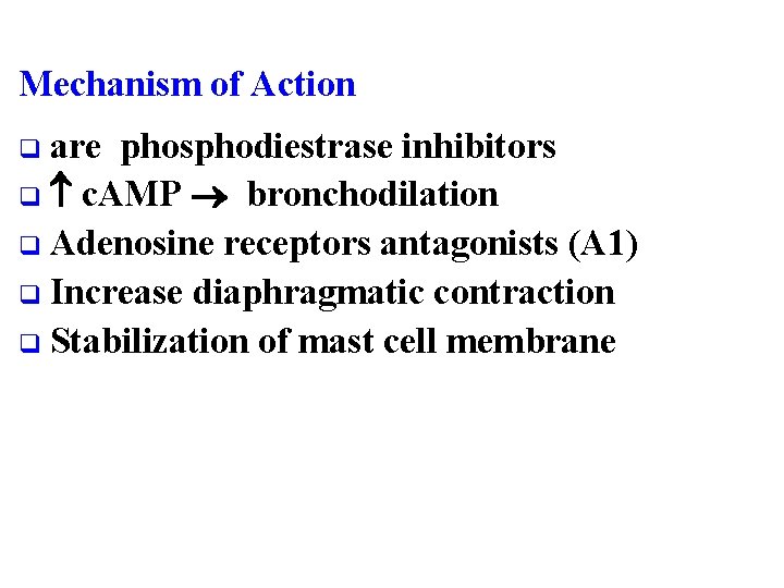 Mechanism of Action q are phosphodiestrase inhibitors q c. AMP bronchodilation q Adenosine receptors