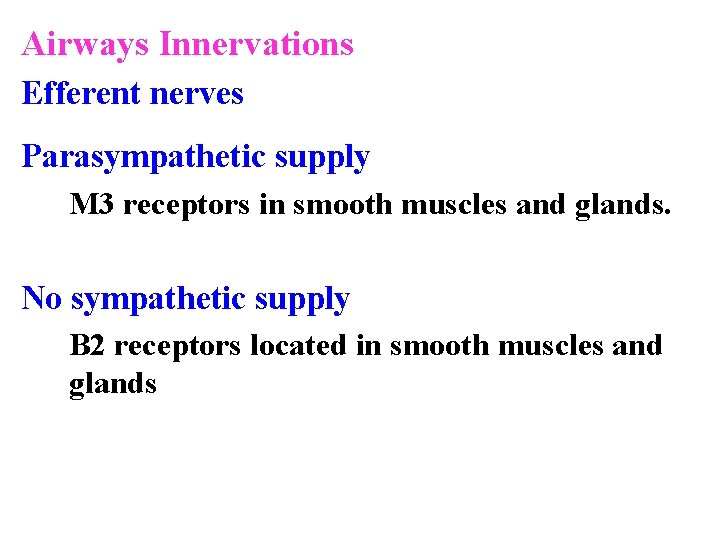 Airways Innervations Efferent nerves Parasympathetic supply M 3 receptors in smooth muscles and glands.