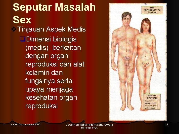 Seputar Masalah Sex v Tinjauan Aspek Medis q. Dimensi biologis (medis) berkaitan dengan organ Seputar Masalah Sex v Tinjauan Aspek Medis q. Dimensi biologis (medis) berkaitan dengan organ