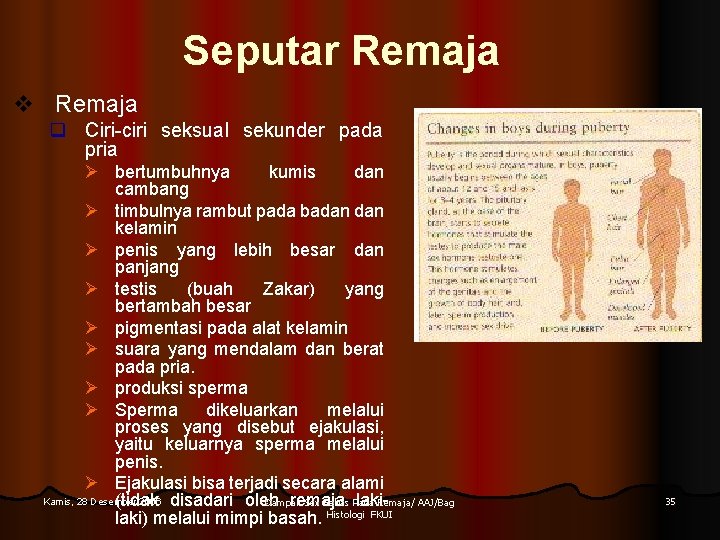 Seputar Remaja v Remaja q Ciri-ciri seksual sekunder pada pria Ø bertumbuhnya kumis dan