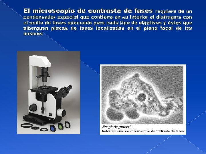 El microscopio de contraste de fases requiere de un condensador especial que contiene en
