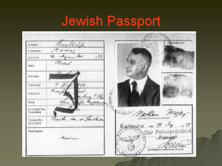 Jewish Passport 