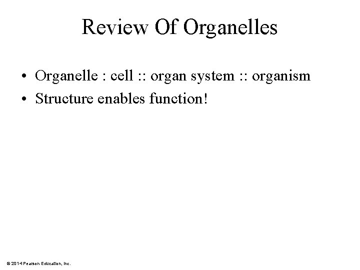 Review Of Organelles • Organelle : cell : : organ system : : organism