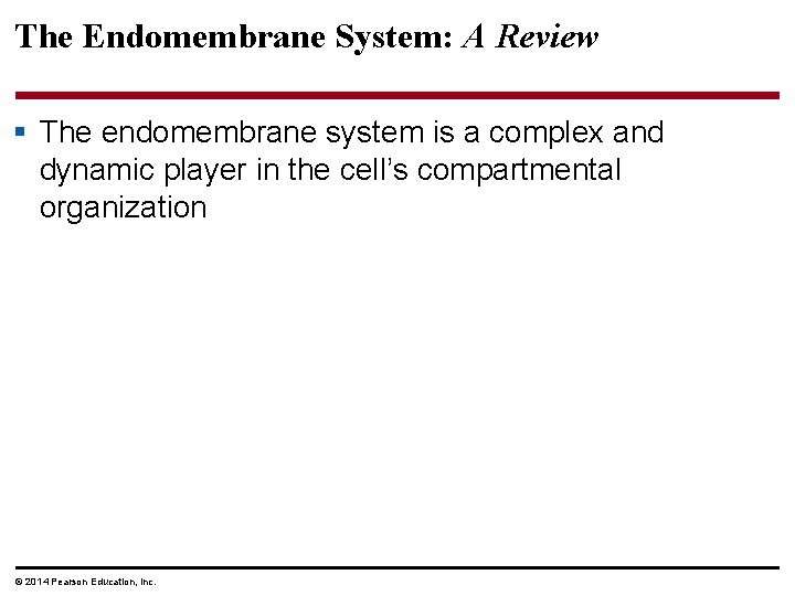 The Endomembrane System: A Review § The endomembrane system is a complex and dynamic