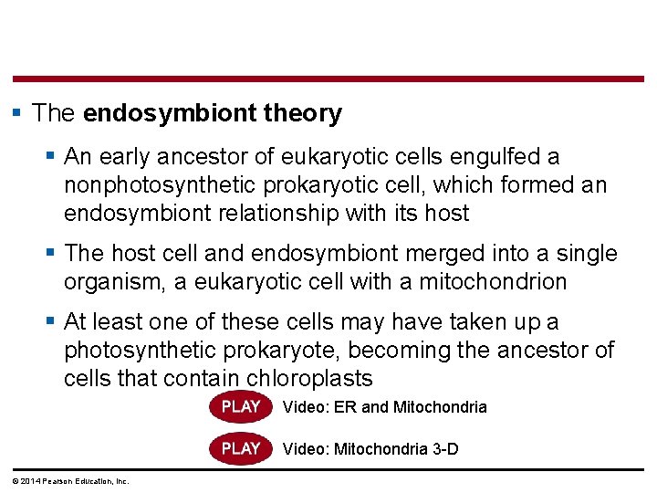 § The endosymbiont theory § An early ancestor of eukaryotic cells engulfed a nonphotosynthetic