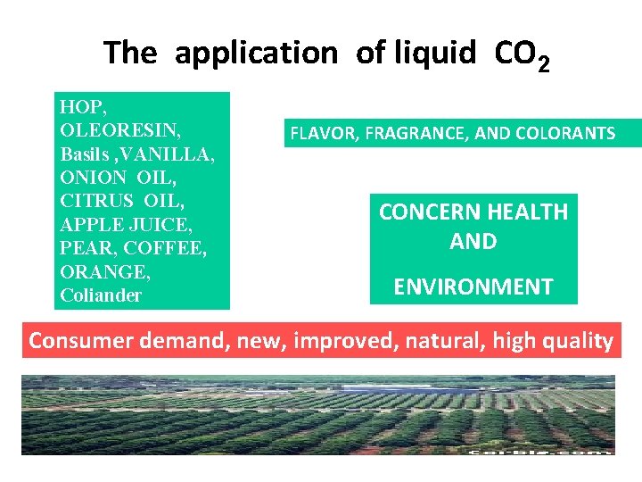 The application of liquid CO 2 HOP, OLEORESIN, Basils , VANILLA, ONION OIL, CITRUS