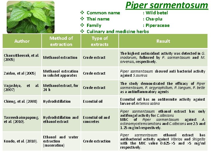 v v Method of extraction Author Piper sarmentosum Common name : Wild betel Thai