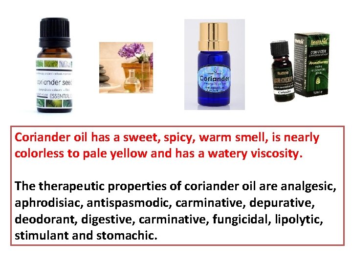 Coriander oil has a sweet, spicy, warm smell, is nearly colorless to pale yellow