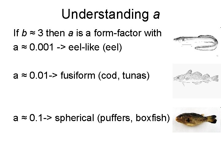 Understanding a If b ≈ 3 then a is a form-factor with a ≈