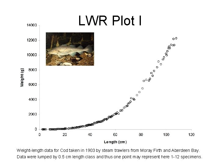 LWR Plot I Weight-length data for Cod taken in 1903 by steam trawlers from