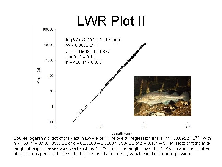 LWR Plot II log W = -2. 206 + 3. 11 * log L