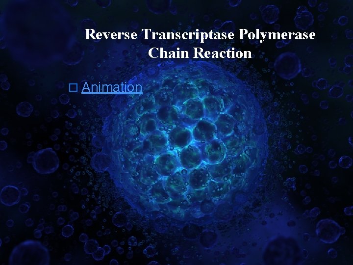 Reverse Transcriptase Polymerase Chain Reaction o Animation 