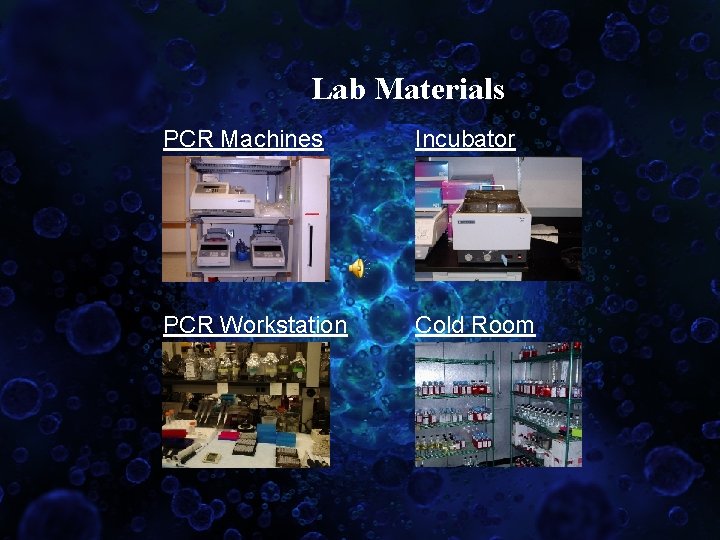 Lab Materials PCR Machines Incubator PCR Workstation Cold Room 