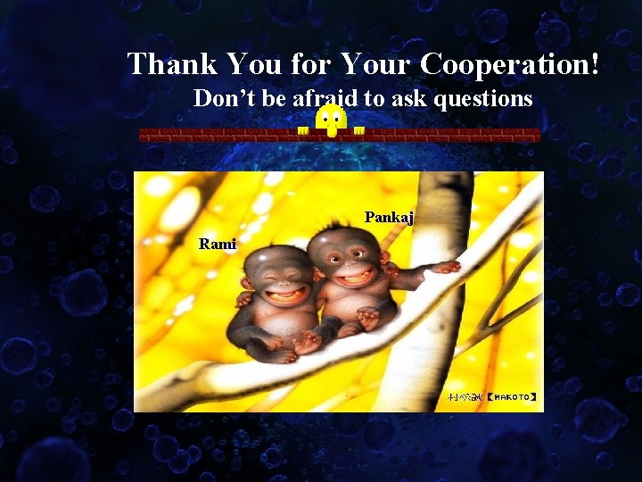 Thank You for Your Cooperation! Don’t be afraid to ask questions Pankaj Rami 