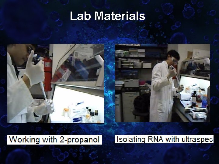 Lab Materials 