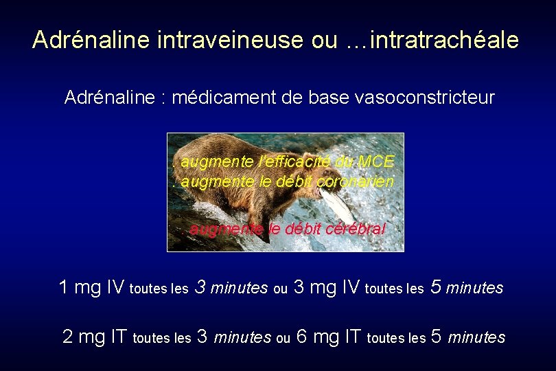 Adrénaline intraveineuse ou …intratrachéale Adrénaline : médicament de base vasoconstricteur . . augmente l'efficacité