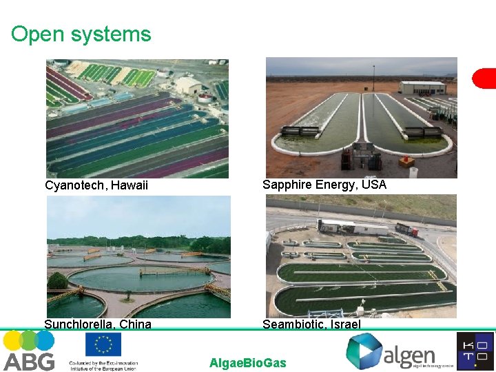 Open systems Cyanotech, Hawaii Sapphire Energy, USA Sunchlorella, China Seambiotic, Israel Algae. Bio. Gas