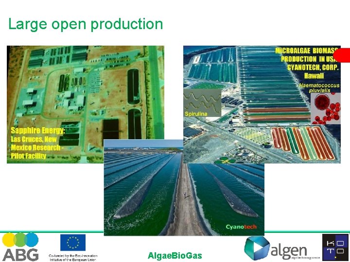 Large open production Algae. Bio. Gas 