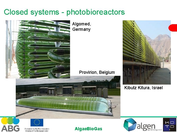 Closed systems - photobioreactors Algomed, Germany Provirion, Belgium Kibutz Kitura, Israel Algae. Bio. Gas